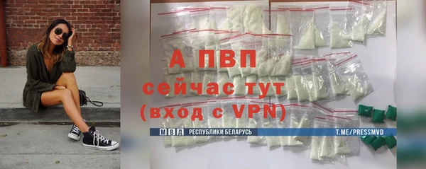 сатива Баксан