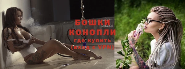 индика Белокуриха