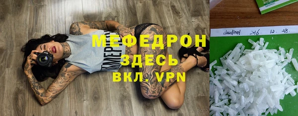 индика Белокуриха