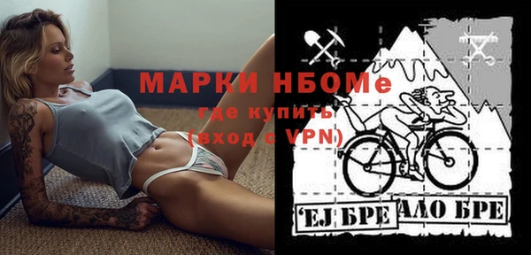 индика Белокуриха